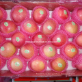 Fresco Qinguan Apple Red Apple